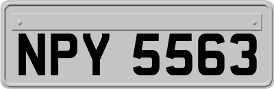 NPY5563