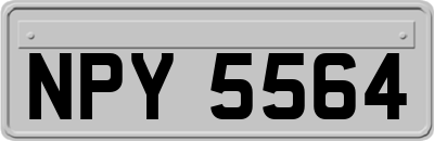 NPY5564