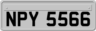 NPY5566
