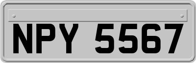NPY5567