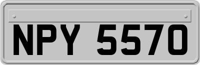 NPY5570