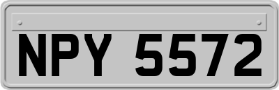 NPY5572