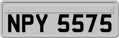 NPY5575