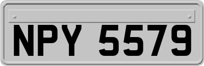 NPY5579