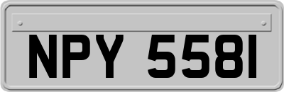 NPY5581