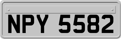 NPY5582