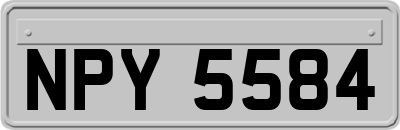 NPY5584
