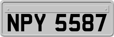NPY5587