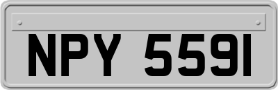 NPY5591