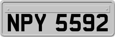 NPY5592