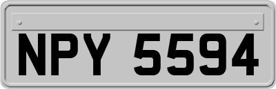 NPY5594