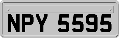 NPY5595