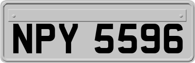 NPY5596