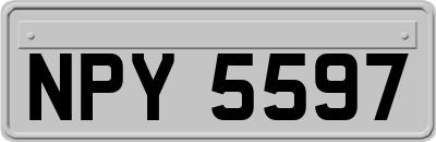 NPY5597