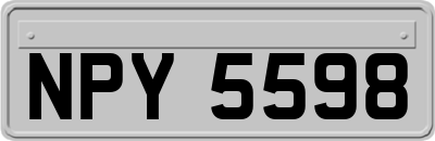 NPY5598