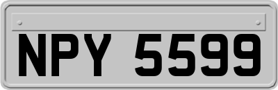 NPY5599