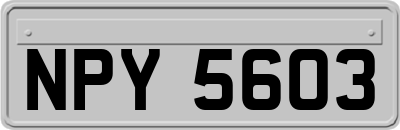 NPY5603