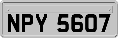 NPY5607