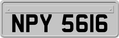 NPY5616