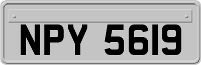NPY5619