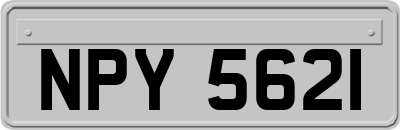 NPY5621