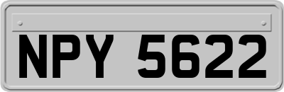 NPY5622