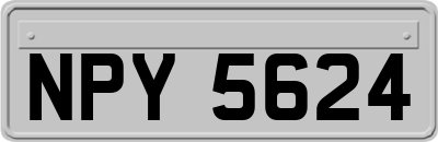 NPY5624