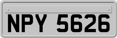 NPY5626