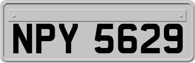 NPY5629