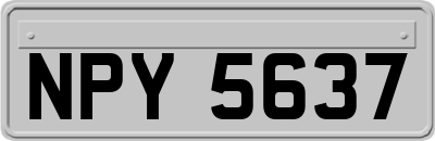 NPY5637
