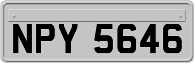 NPY5646