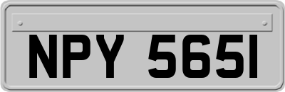 NPY5651