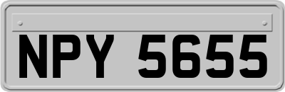 NPY5655