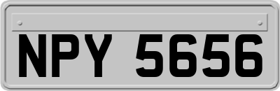 NPY5656