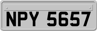 NPY5657
