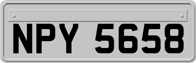 NPY5658