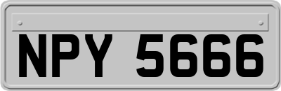 NPY5666