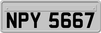 NPY5667