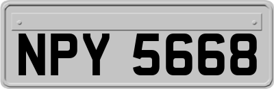 NPY5668