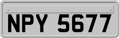 NPY5677