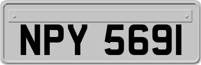 NPY5691