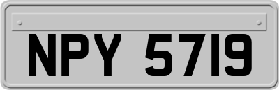 NPY5719