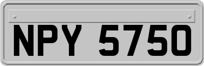 NPY5750