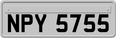 NPY5755