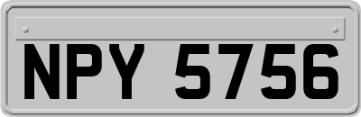 NPY5756