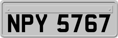 NPY5767