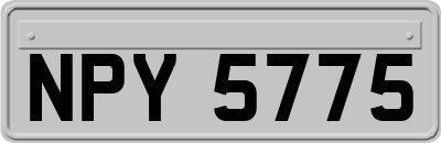 NPY5775