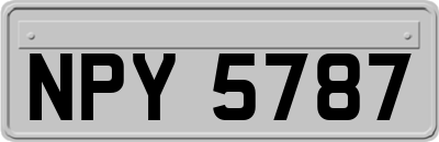 NPY5787