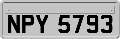 NPY5793