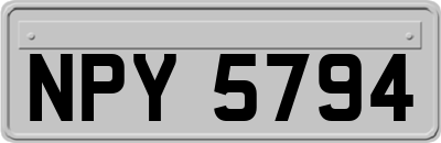 NPY5794